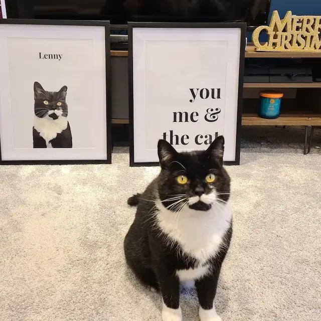 Custom Pet Portrait Gift Card UK - Print And Paw - Unique Personalised Gift - Cat Portrait - Dog Portrait